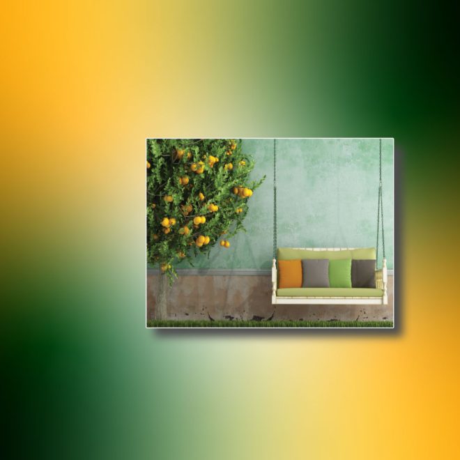 home-and-garden-category-2025