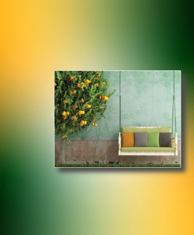 home-and-garden-category-2025