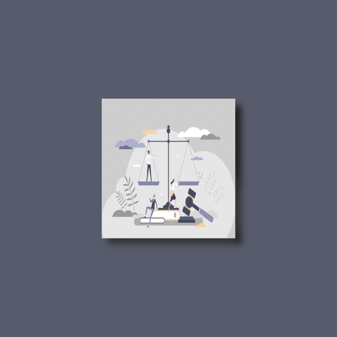 law-and-government-category-2025